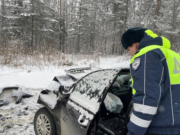 Под Верхней Пышмой женщина-водитель «Шкоды» вылетела на встречку, где в ДТП пострадал ее годовалый ребенок - Фото 2