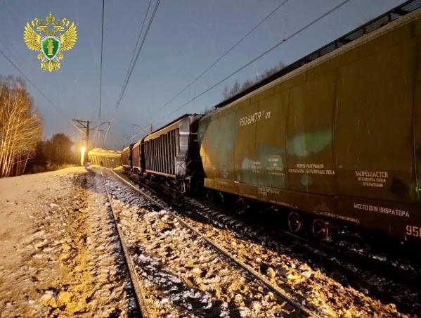 В Пермском крае с рельсов сошли восемь вагонов с зерном  - Фото 3