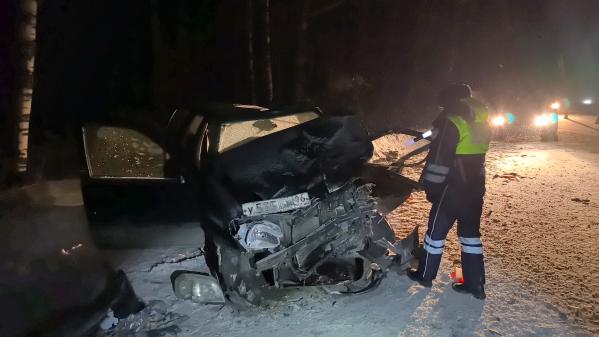 Под Нижним Тагилом пьяный водитель иномарки устроил страшное ДТП, где пострадали две женщины - Фото 3