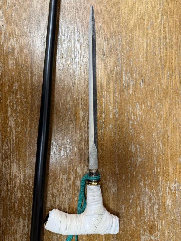 Жительница Екатеринбурга попыталась пронести в суд клинок в трости - Фото 2