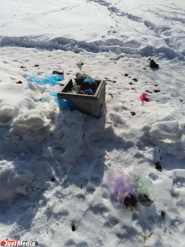 Урны переполнены, скамейки – в снегу: екатеринбуржцы пожаловались на отсутствие уборки в парке Архипова - Фото 3