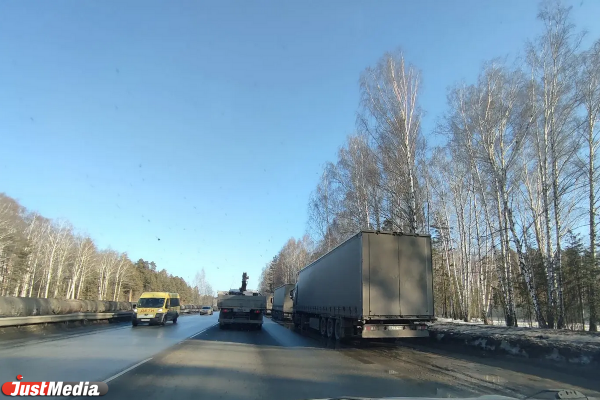 Жители Верхней Пышмы несколько месяцев страдают от нашествия фур - Фото 2
