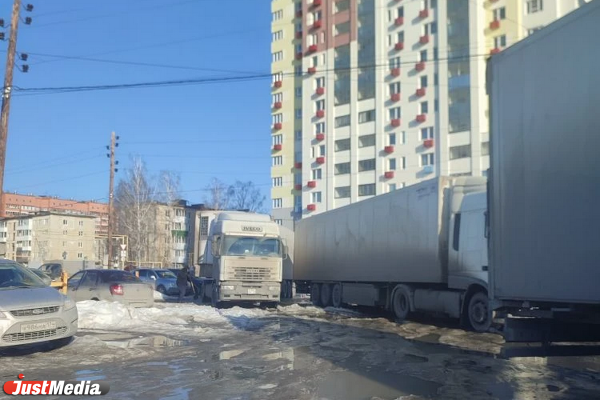 Жители Верхней Пышмы несколько месяцев страдают от нашествия фур - Фото 4
