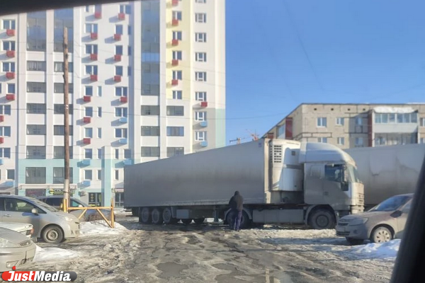 Жители Верхней Пышмы несколько месяцев страдают от нашествия фур - Фото 5
