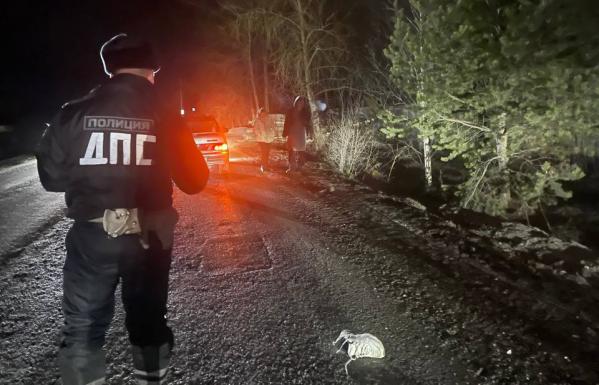 В Краснотурьинске водитель «пятнадцатой» насмерть сбил пешехода - Фото 2