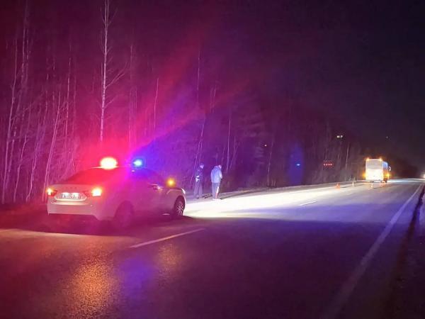 В Верхней Пышме водитель автобуса насмерть сбил пешехода - Фото 2