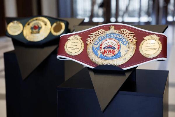 В Екатеринбург доставили все чемпионские пояса Дмитрия Бивола - Фото 2