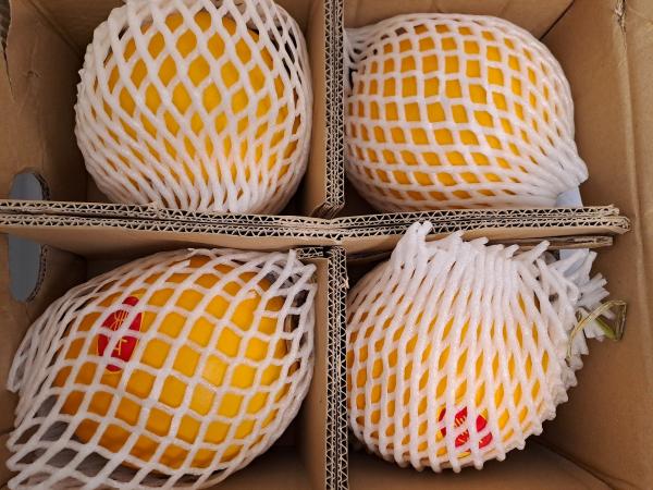 В Екатеринбург прибыла первая партия дынь из Китая - Фото 3