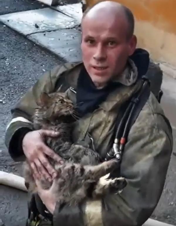 В Тюмени пожарный откачал двух кошек, пострадавших в пожаре - Фото 3