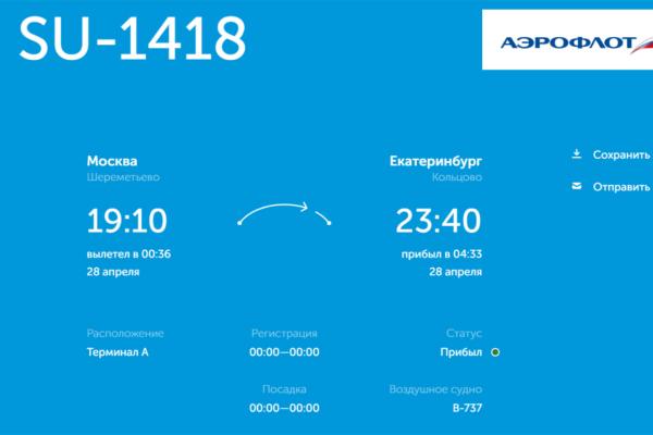 Из-за сильного снегопада в Москве в Кольцово массово задержались рейсы - Фото 2