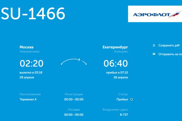 Из-за сильного снегопада в Москве в Кольцово массово задержались рейсы - Фото 3