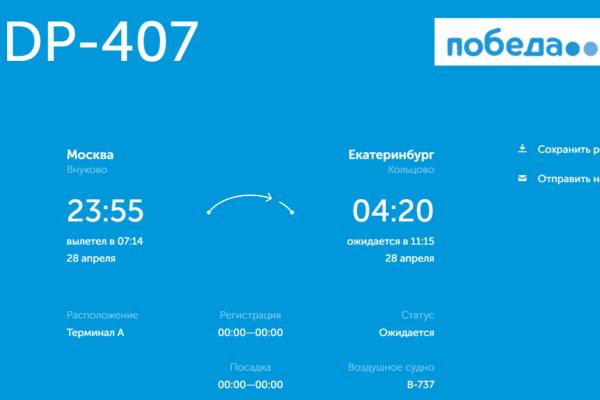 Из-за сильного снегопада в Москве в Кольцово массово задержались рейсы - Фото 4