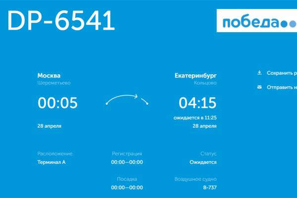 Из-за сильного снегопада в Москве в Кольцово массово задержались рейсы - Фото 5
