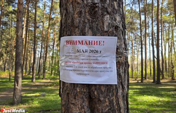 Парки Екатеринбурга обработают от клещей до конца мая - Фото 4