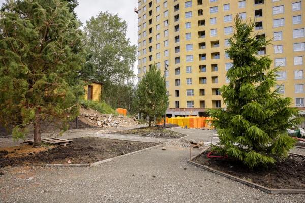За 300 млн рублей реконструируют парк у ТРЦ «Радуга парк» - Фото 2