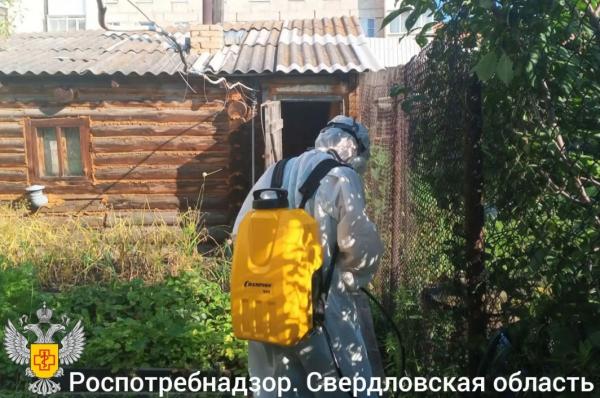 Дезинфекция домов, детских садов и придомовых территорий продолжается в Ирбитском районе - Фото 2