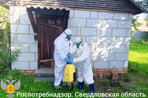 Дезинфекция домов, детских садов и придомовых территорий продолжается в Ирбитском районе - Фото 4