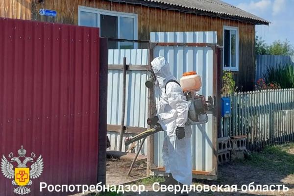 Дезинфекция домов, детских садов и придомовых территорий продолжается в Ирбитском районе - Фото 5