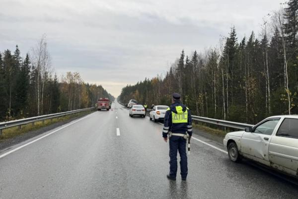 Водитель «Хонды» залетел под встречный автобус и погиб под Режом - Фото 3