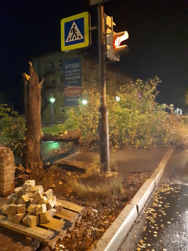 Ночной ураган в Екатеринбурге оставил после себя поваленные заборы и деревья. ФОТО, ВИДЕО - Фото 4