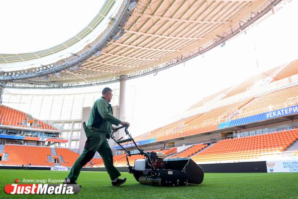 Гринкипер Константин Бочегов: «Больше всего газону «Екатеринбург арены» навредили футболисты Египта и Уругвая» - Фото 8