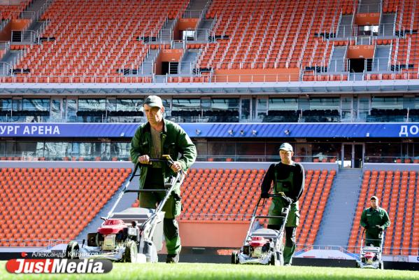 Гринкипер Константин Бочегов: «Больше всего газону «Екатеринбург арены» навредили футболисты Египта и Уругвая» - Фото 6
