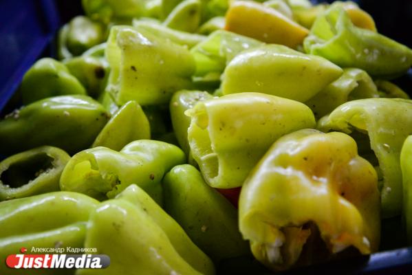 Китайские предприниматели закупят на Урале мясные чипсы, пиво и сувениры - Фото 7