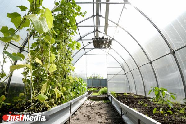 После выписки пациент заключает договор с родственниками. Как живут реабилитанты «Урала без наркотиков». РЕПОРТАЖ - Фото 17