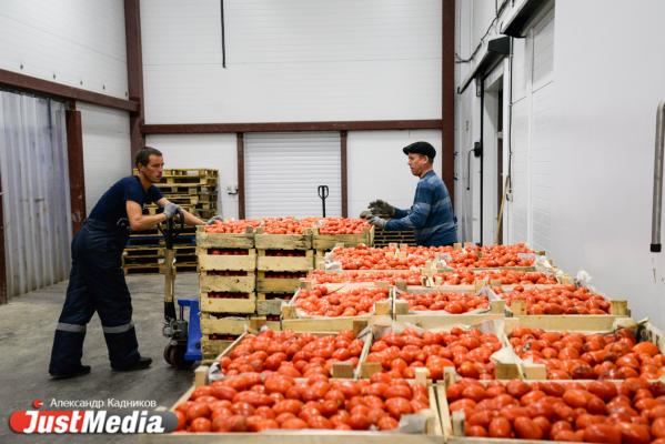 Китайские предприниматели закупят на Урале мясные чипсы, пиво и сувениры - Фото 11