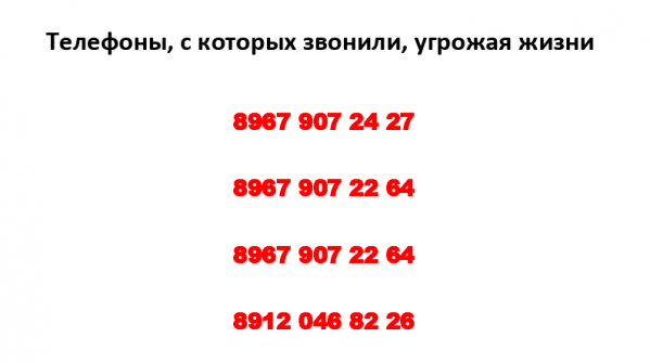 Авторы кампании «криминал рвется во власть» подписали обращение к Памфиловой - Фото 6