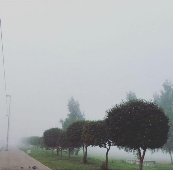 Густой туман окутал Екатеринбург и задержал два рейса в Кольцово - Фото 2